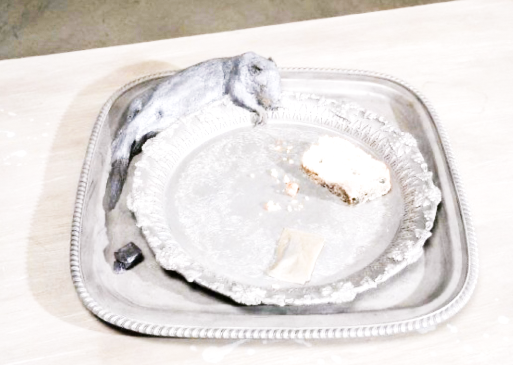 White cream texture background